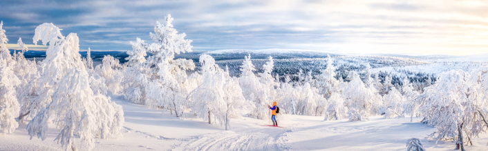 Ski sur les pistes blanches avec un paysage glacial!
